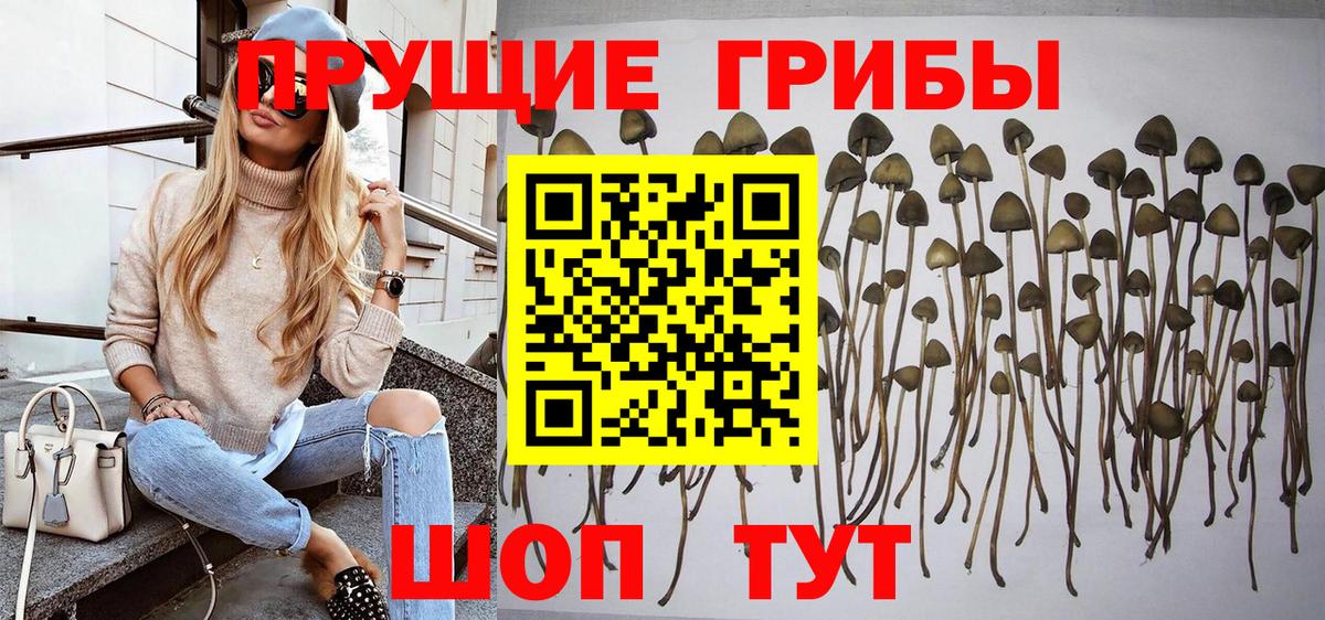 Королёв  как найти закладки  Галлюциногенные грибы Magic Shrooms  Вход с VPN  Псилоцибиновые грибы MAGIC MUSHROOMS 